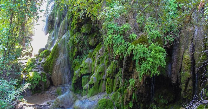 Gorman Falls Swimming Basin