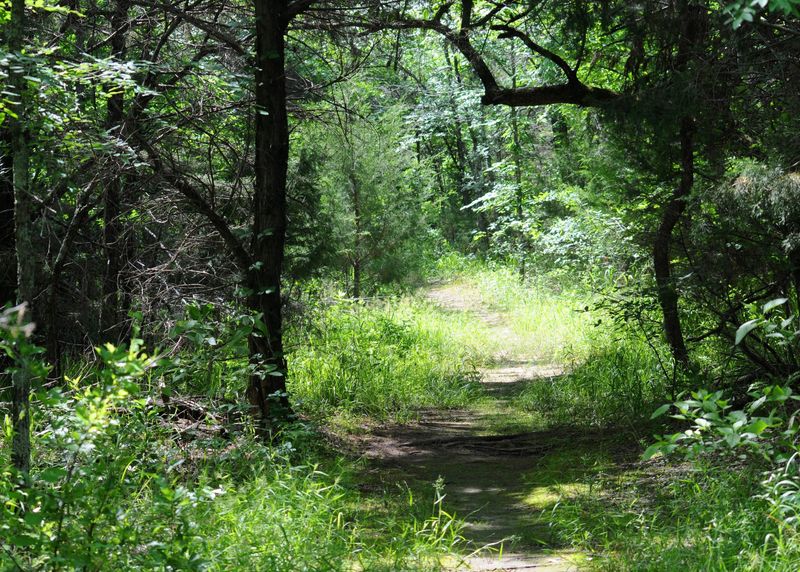 Lake Tawakoni State Park, Hunt County
