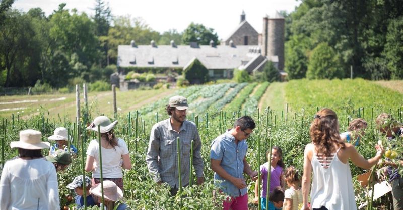 Stone Barns Center, Pocantico Hills