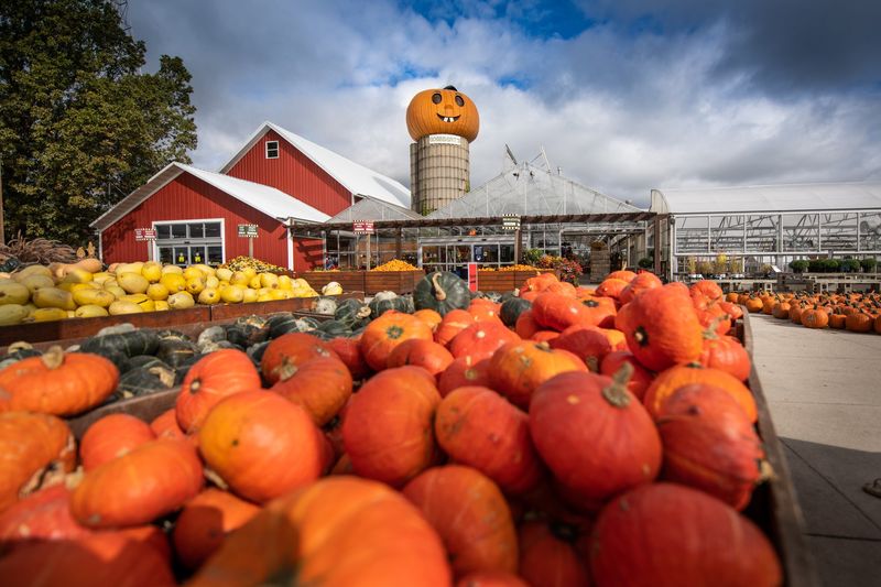 Goebbert’s Pumpkin Patch & Apple Orchard (Pingree Grove and South Barrington)