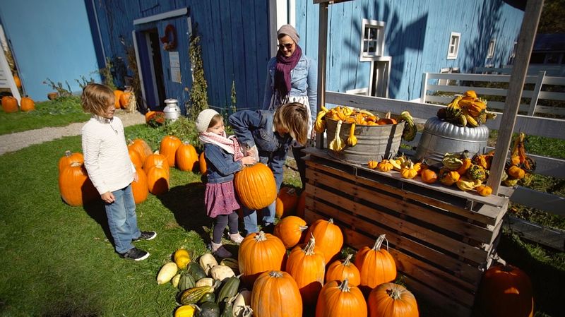 Grandpa's Tiny Farm in Frankenmuth: Small-Town Charm and Pumpkins