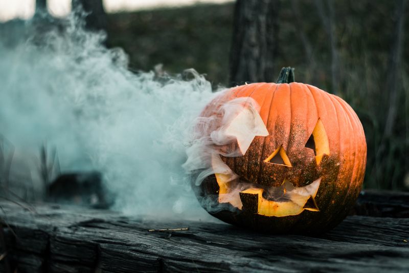 The Pumpkin Ranch's Haunted Harvest Labyrinth