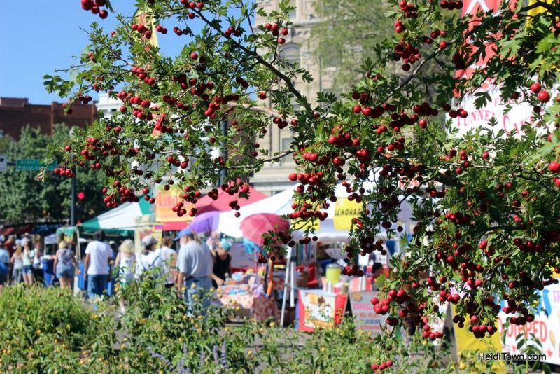 Pueblo On Parade: Chile And Frijoles Festival