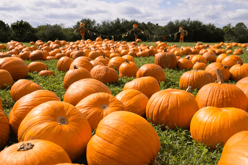 Daytime Family Activities for All Ages