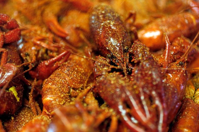 Cajun Claws in Abbeville