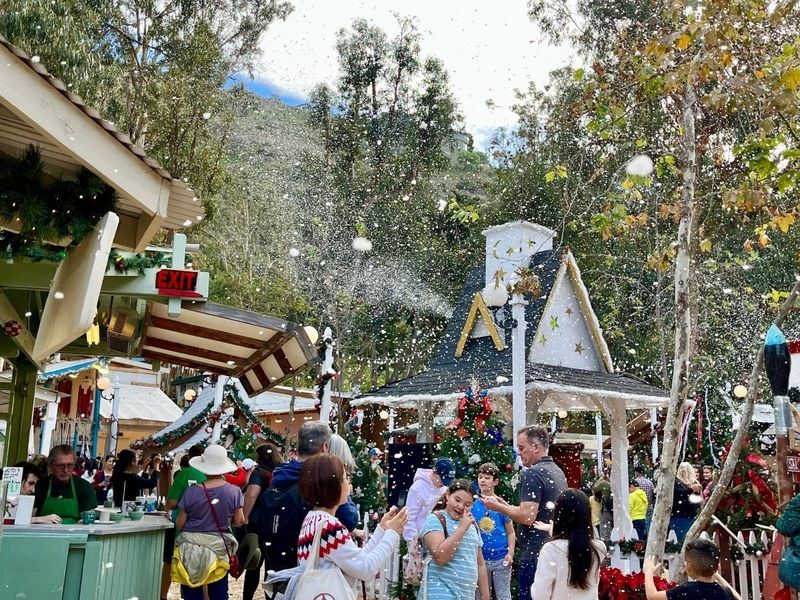 Sawdust Winter Fantasy, Laguna Beach