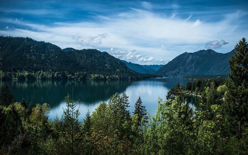Forested Retreat at Lake Cushman