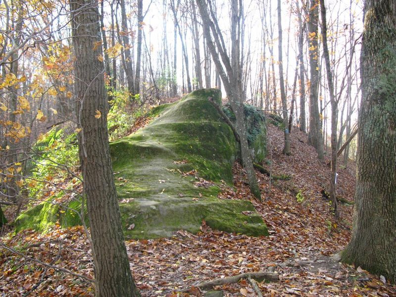 Ridge Trail: Strouds Run's Panoramic Secret