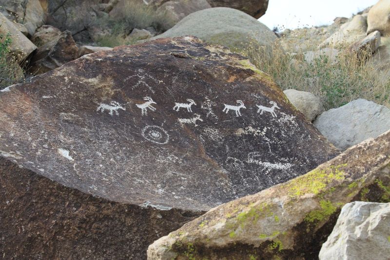 Grapevine Canyon: Spirit Mountain Sanctuary
