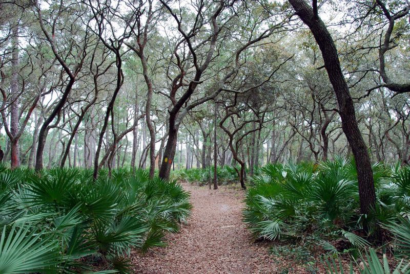 Wekiwa Springs State Park Trails