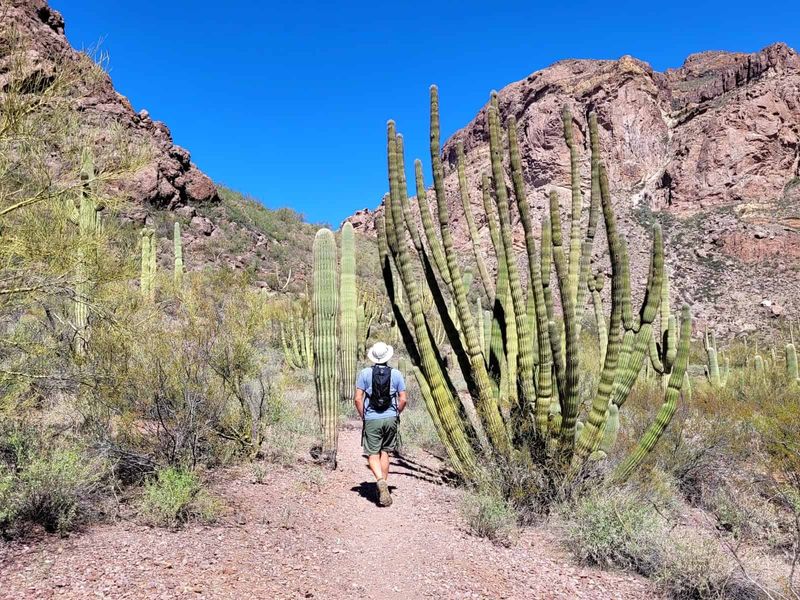 Desert Hiking Adventures