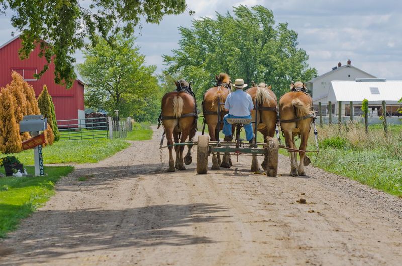Amish Country Loop
