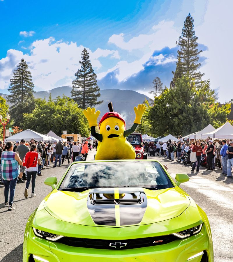 Kelseyville Pear Festival: Lake County's Juicy Jubilee