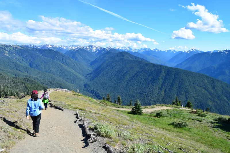 Hurricane Ridge Trails in Olympic National Park