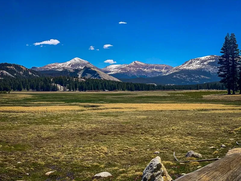 Tuolumne Meadows, Yosemite National Park