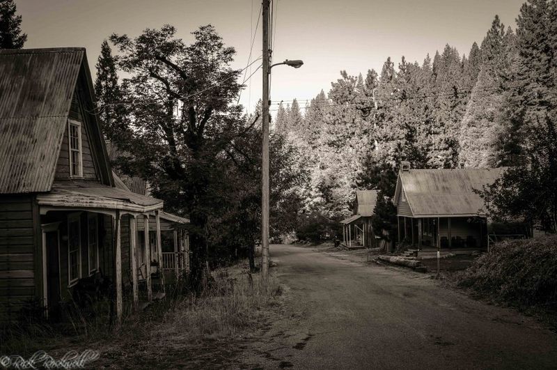 Forest City Ghost Town