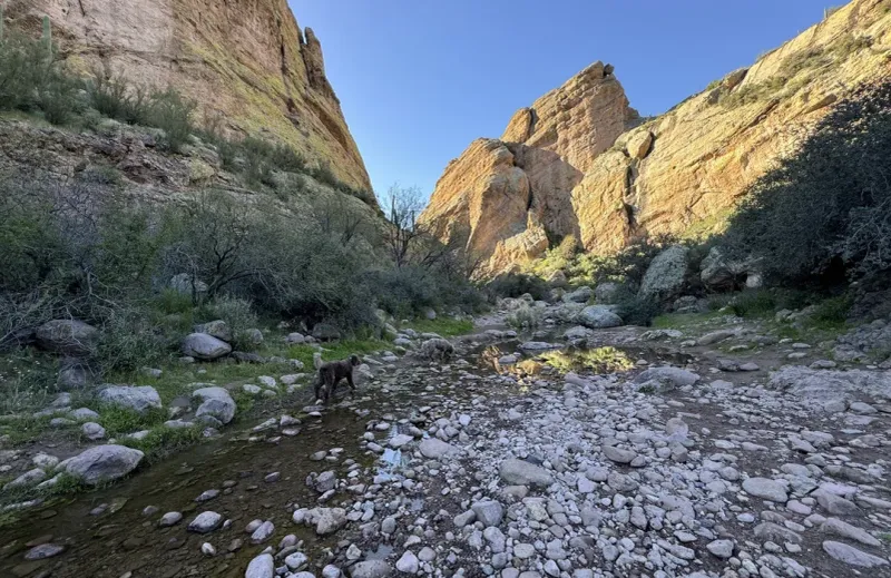 Hackberry Spring: Superstition Wilderness Hideaway