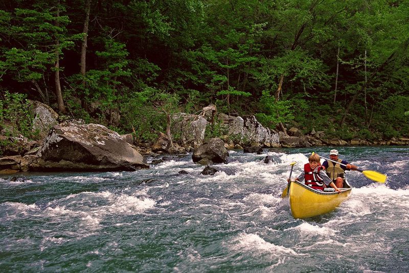 Ozark's Mulberry River Adventures