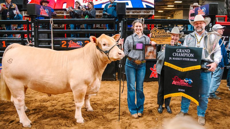 San Antonio Stock Show And Rodeo