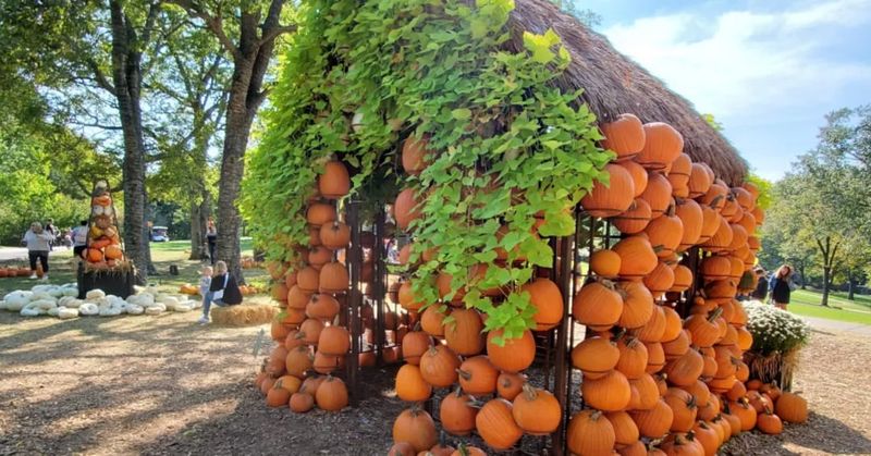 Wander Through Cheekwood's Autumn Wonderland
