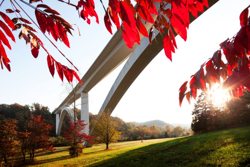 Cruise the Legendary Natchez Trace Parkway