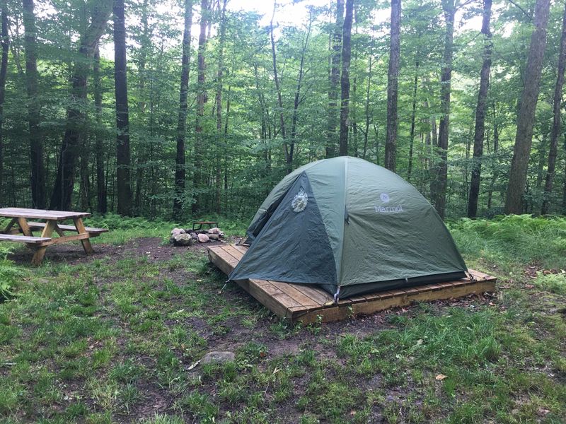 Big Indian Wilderness