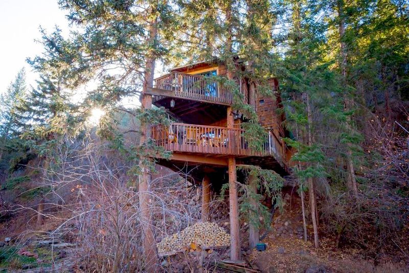 Rocky Mountain Treehouse - Elevated Forest Experience