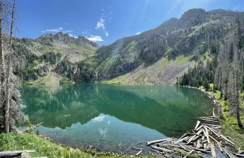 Crater Creek Trail: A Volcanic Forest Adventure