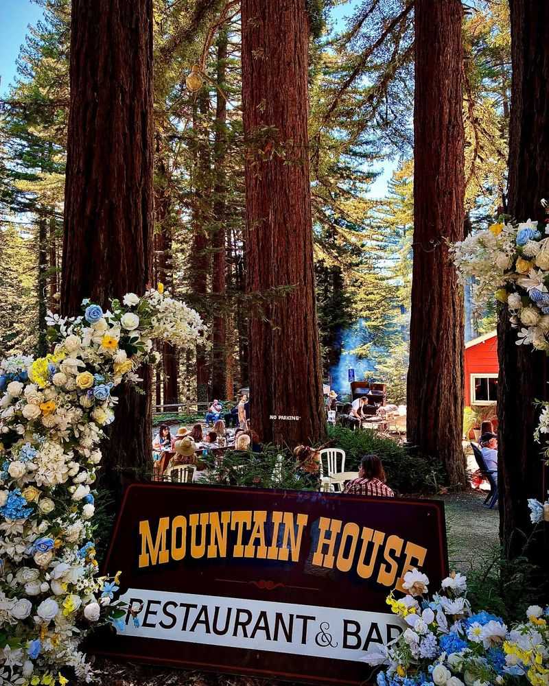 Magical Forest Setting That Transports Diners