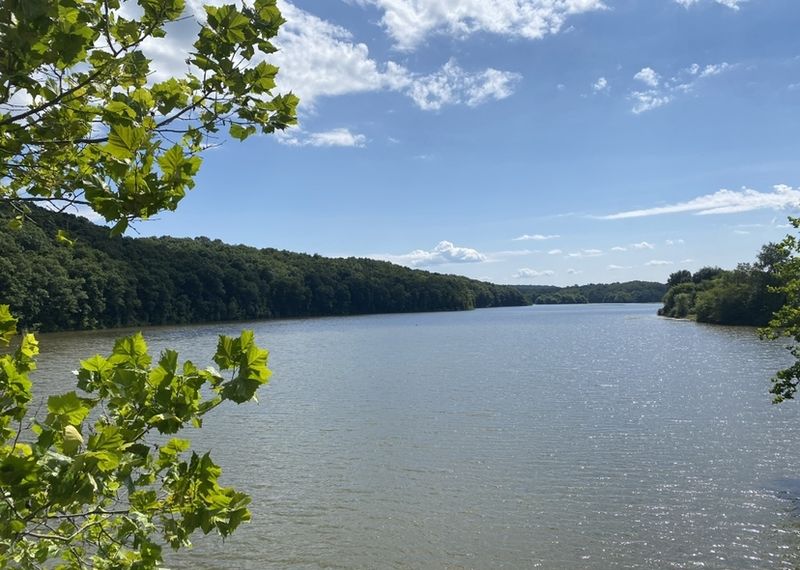 Salt Fork Lake in Guernsey County