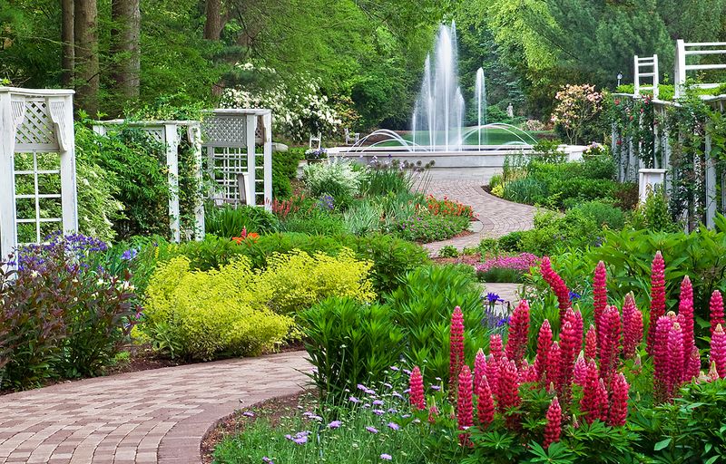 Fellows Riverside Gardens' Roses of Iron