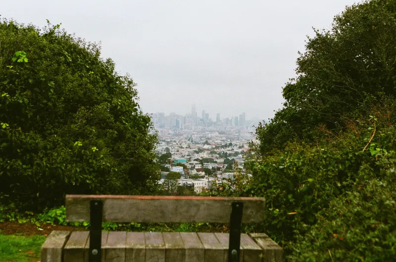 Walter Haas Way: City Views Few Tourists Know