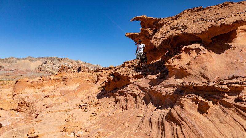 Gold Butte National Monument Outback