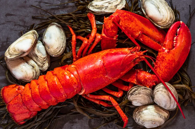 Wood's Seafood Market: Bucksport's Hidden Treasure