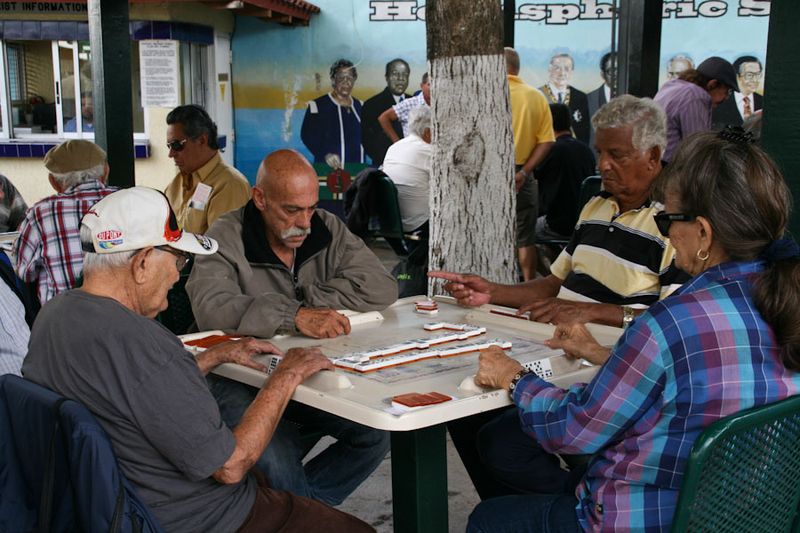 Attend A Spontaneous Domino Tournament in Domino Park