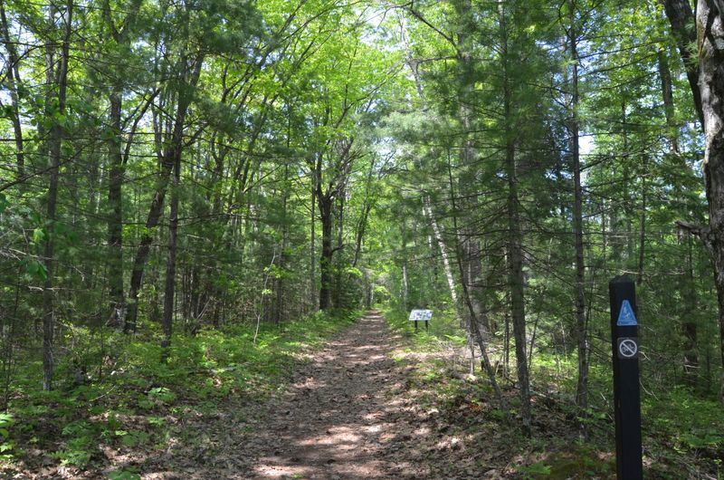 Negwegon State Park Trails