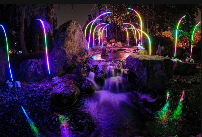 Autumn Lights Festival: Illuminated Art Wonderland in Oakland