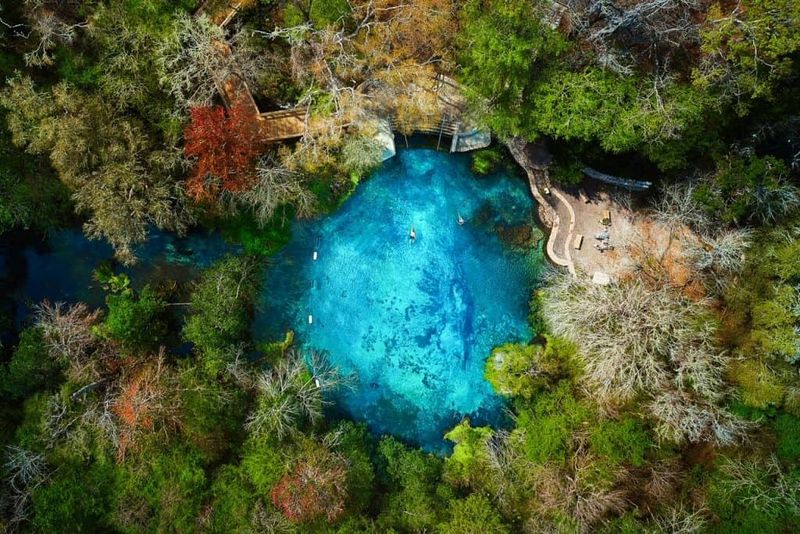 Ichetucknee Springs - The Floating Paradise