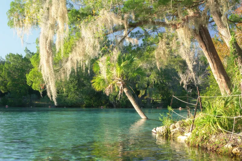 Alexander Springs, Ocala National Forest