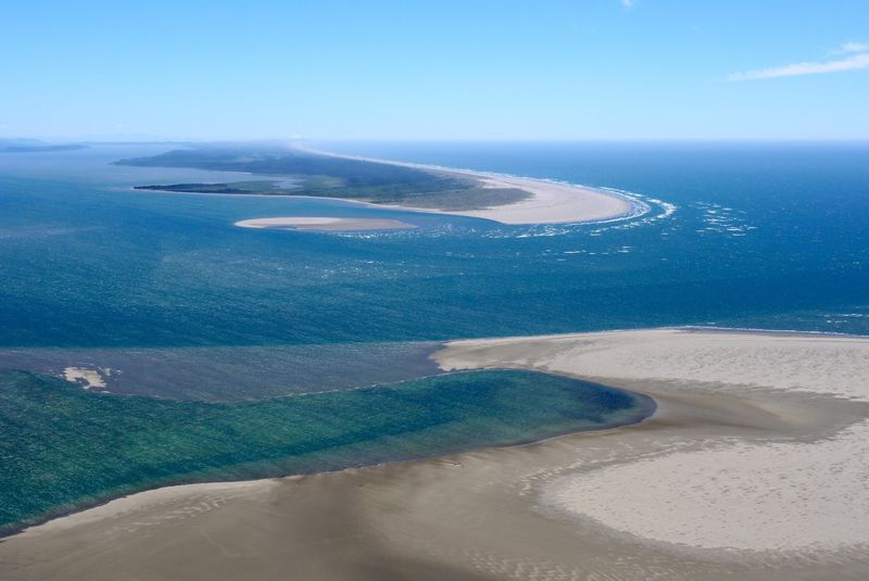 Leadbetter Point State Park: Peninsula's Hidden Northern Tip