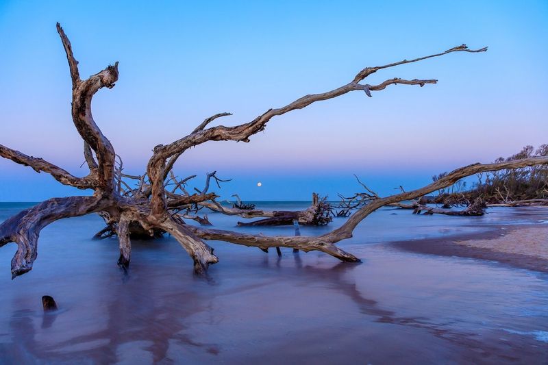 Little Talbot Island: Jacksonville's Wild Side