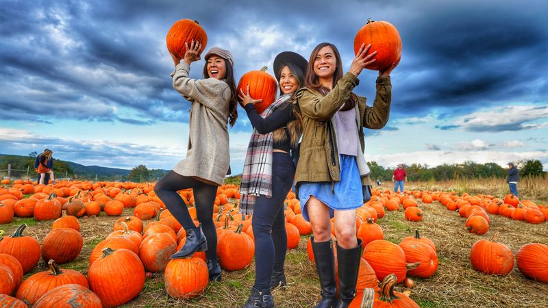 Barton Orchards: Entertainment Meets Pumpkin Perfection