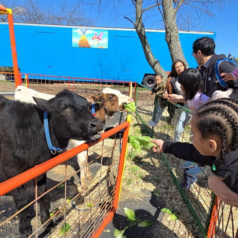 Green Meadows Farm, Queens