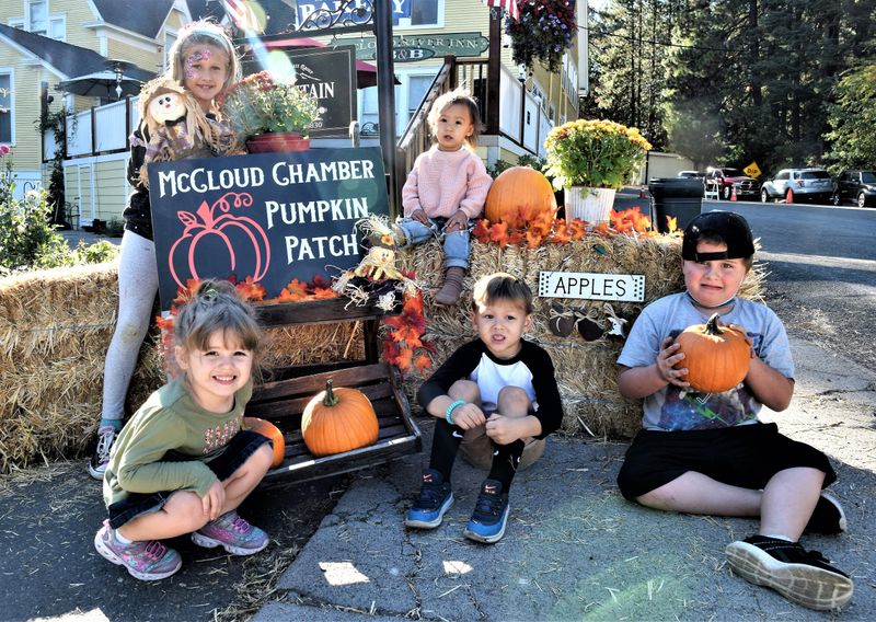 McCloud Apple Harvest Festival: Mountain Fruit Gathering