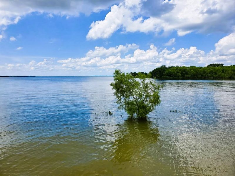 Lake Tawakoni's Shoreline Adventure