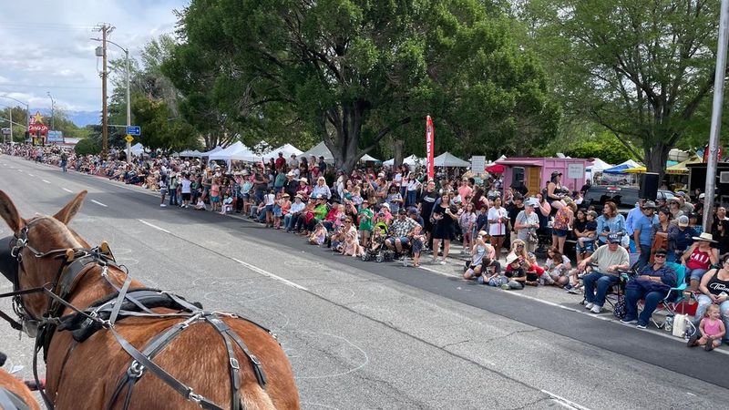 Bishop Mule Days Parade (Bishop)