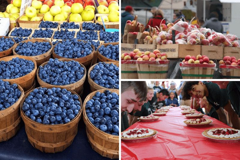 Northport’s Annual Dog Parade & Cherry Pie Social
