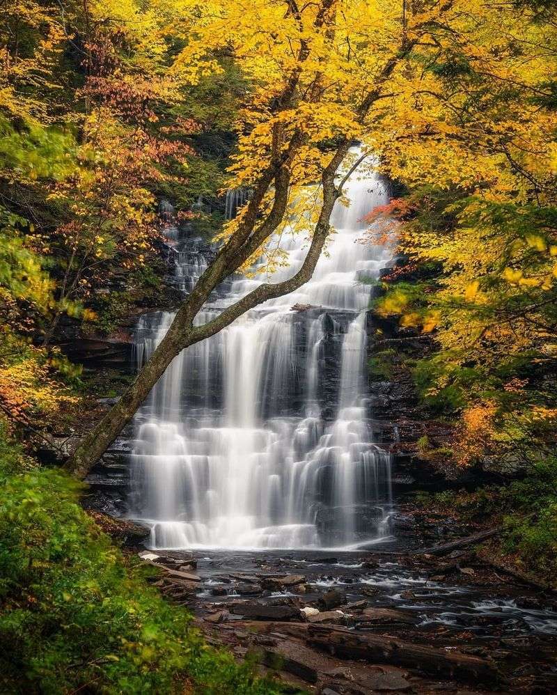 Ricketts Glen State Park: Waterfalls Cascade Through Autumn