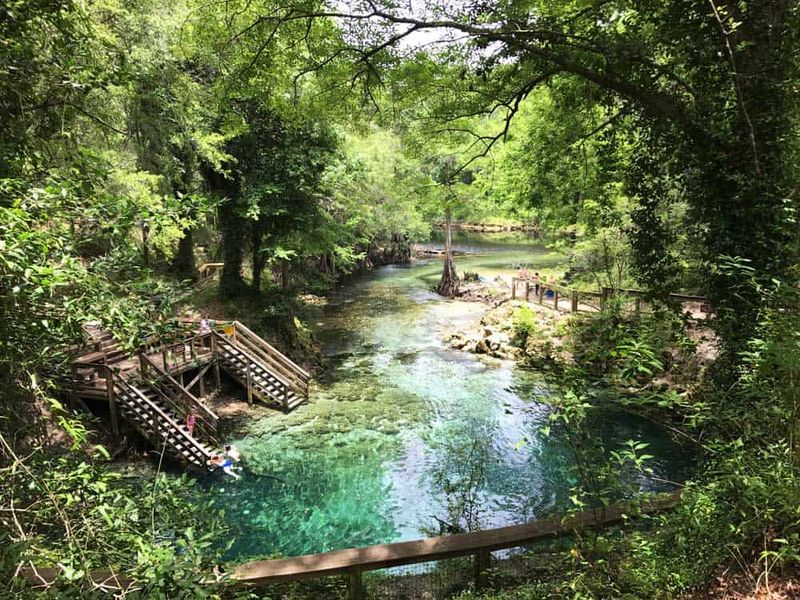 Lafayette Blue Springs State Park