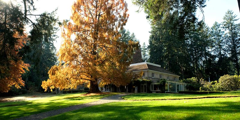 Lakewold's Historic Estate Gardens